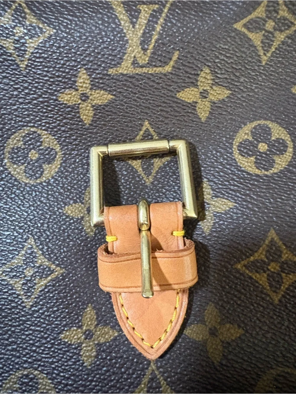 Louis Vuitton  LV Monogram Montsouris backpack